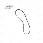 Massey 245 Tafe Genuine Alternator & Water Pump Driven Belt | 2224C01601
